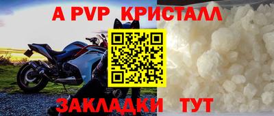 гашик Донской