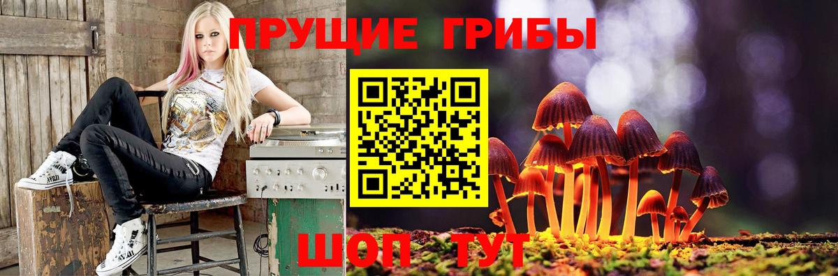 Галлюциногенные грибы Magic Shrooms  Вход с VPN  Галлюциногенные грибы Psilocybine cubensis  Камень-на-Оби 